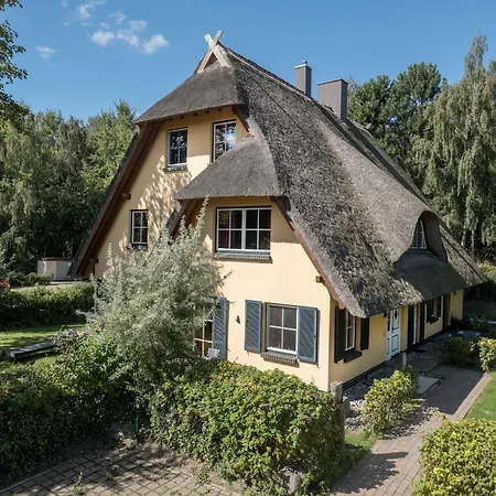 Maisonette Ferienwohnung In Dierhagen Appartement Dierhagen